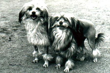 Berta and Niniche