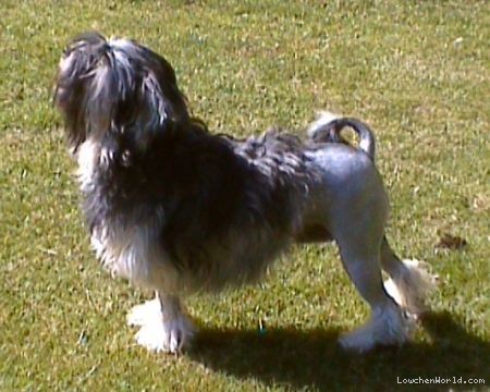 PRIDESDEN PERDITA